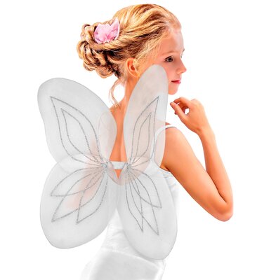 Bílá křídla 58x46 cm