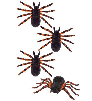 Sada 4 tarantulí, 7 cm