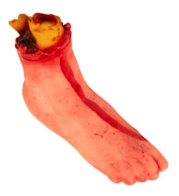 Useknutá noha
