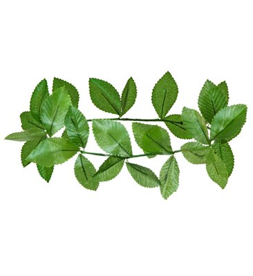 Zelená vavřínová čelenka