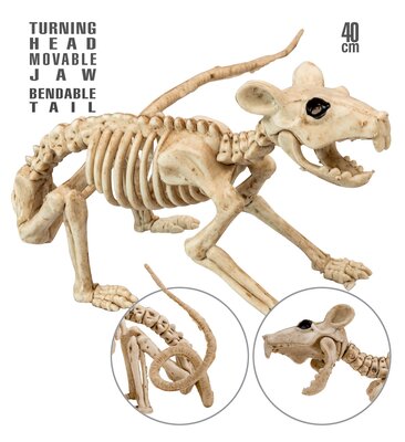 Krysí kostra 40 cm
