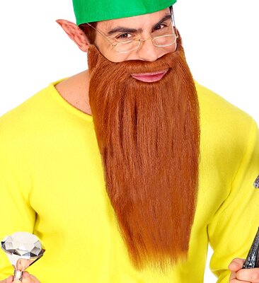 Dlouhý hnědý plnovous