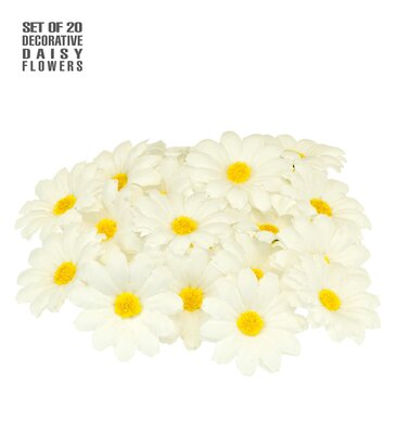 Sada 20ks dekorativních květů sedmikrásky