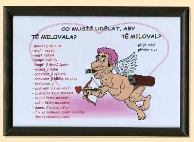Co musíš udělat aby tě milovala - Schéma