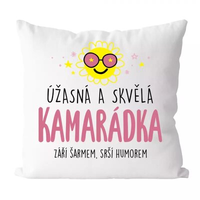Úžasná a skvělá kamarádka - polštářek