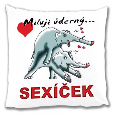 Polštářek - miluji úderný sexíček