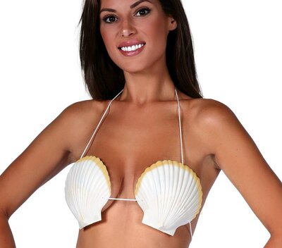 Havajská podprsenka mušle