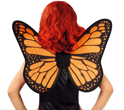 Motýlí křídla, 57 x 50 cm