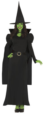 Dámský kostým čarodějnice Elphaba, Wicked