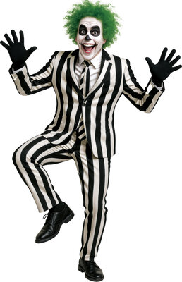 Pánský halloweenský kostým Beetlejuice